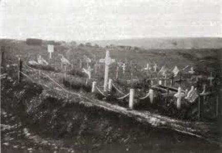 trones wood graves